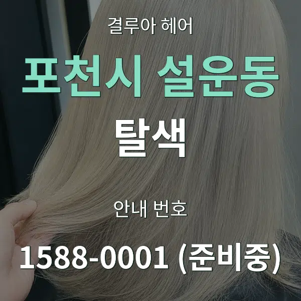 포천시 설운동 탈색 대표 안내 그래픽