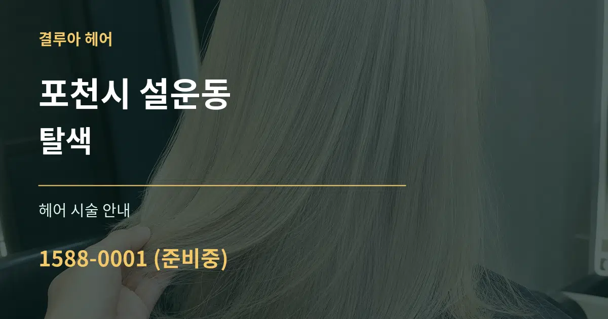 포천시 설운동 탈색 대표 안내 그래픽