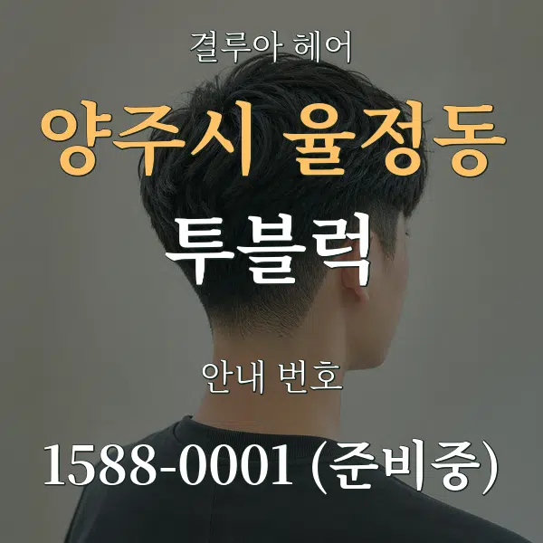 양주시 율정동 투블럭 대표 안내 그래픽