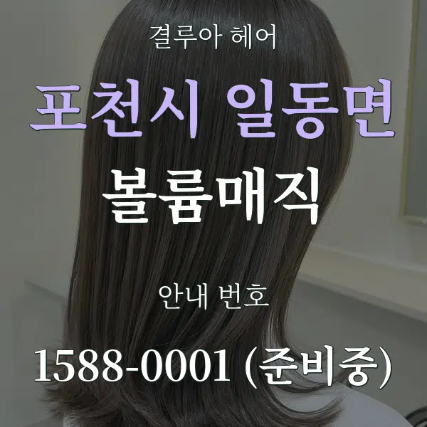 포천시 일동면 볼륨매직 대표 안내 그래픽