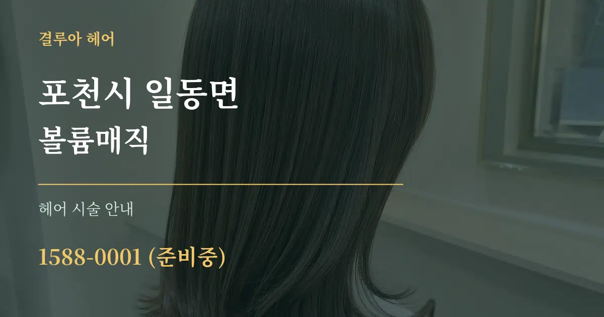 포천시 일동면 볼륨매직 대표 안내 그래픽