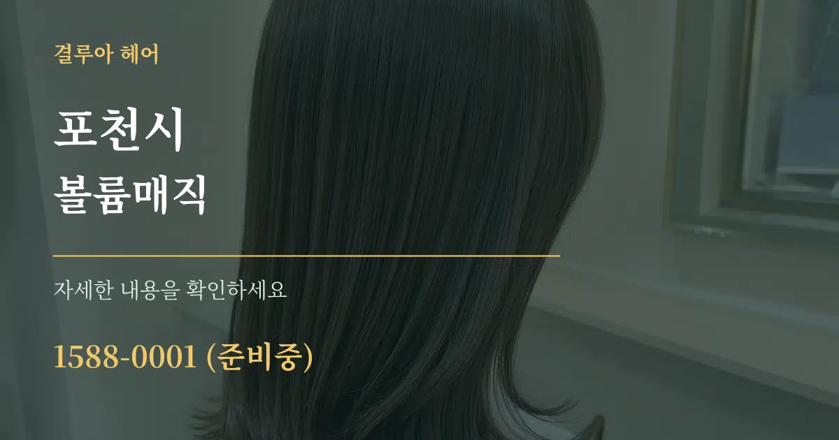 포천시 볼륨매직 서비스 이용 안내 그래픽