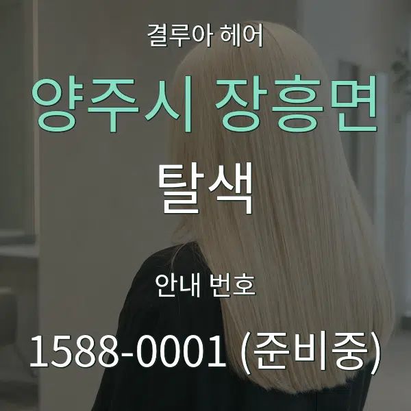 양주시 장흥면 탈색 대표 안내 그래픽