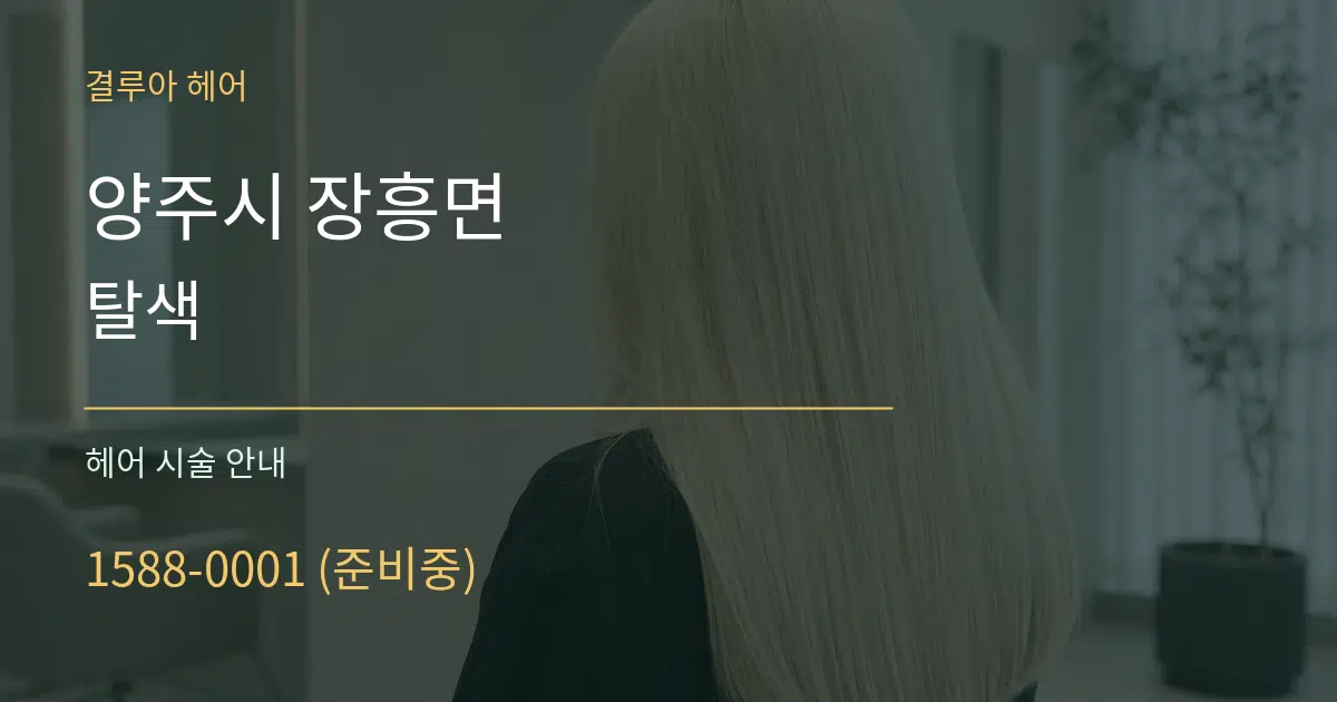 양주시 장흥면 탈색 대표 안내 그래픽