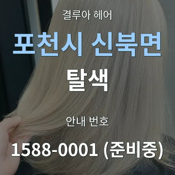 포천시 신북면 탈색 대표 안내 그래픽
