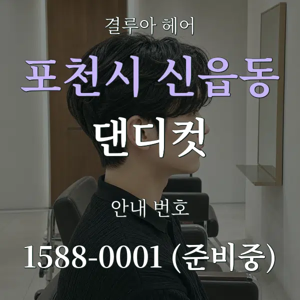 포천시 신읍동 댄디컷 대표 안내 그래픽