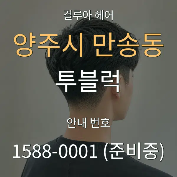 양주시 만송동 투블럭 대표 안내 그래픽