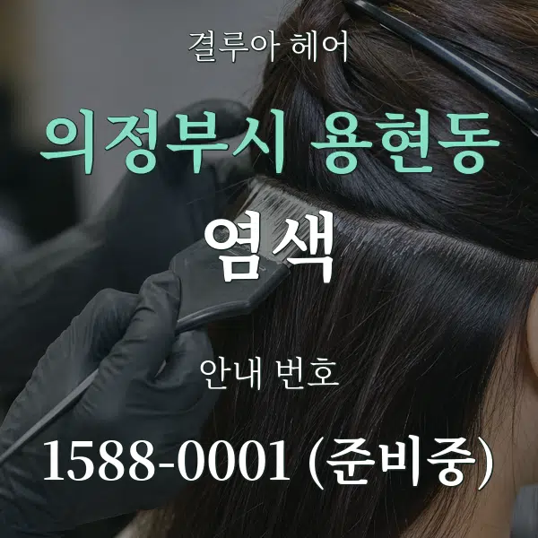 의정부시 용현동 염색 대표 안내 그래픽