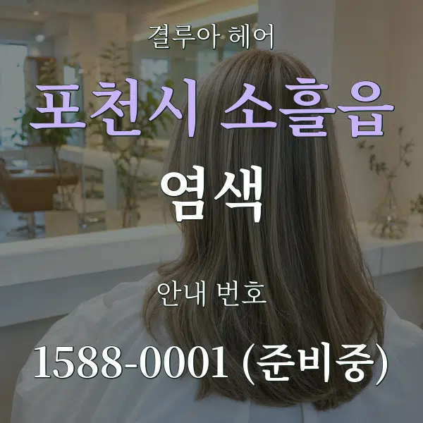 포천시 소흘읍 염색 대표 안내 그래픽