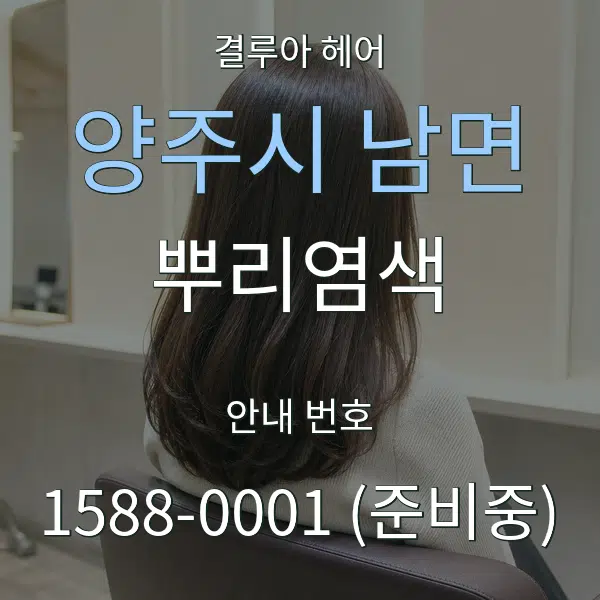 양주시 남면 뿌리염색 대표 안내 그래픽