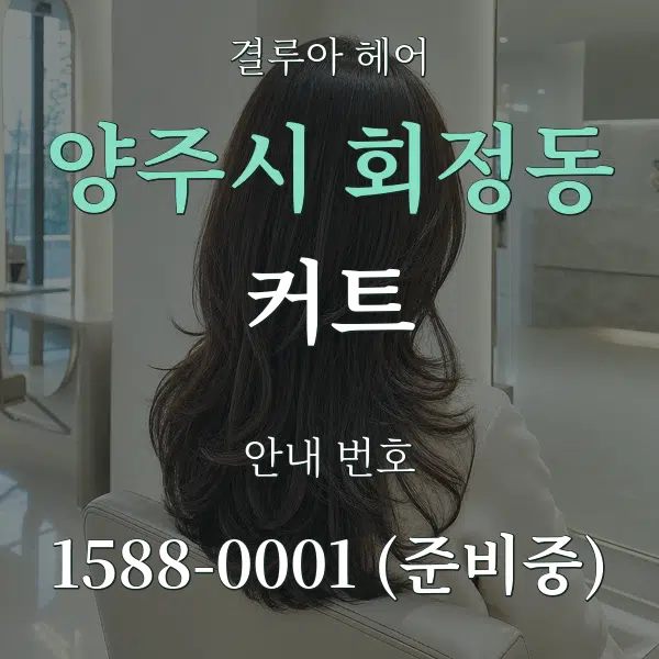 양주시 회정동 커트 대표 안내 그래픽