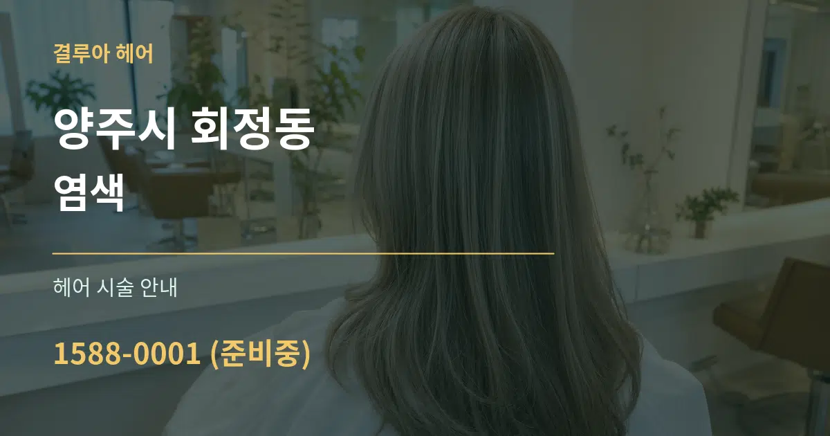 양주시 회정동 염색 대표 안내 그래픽