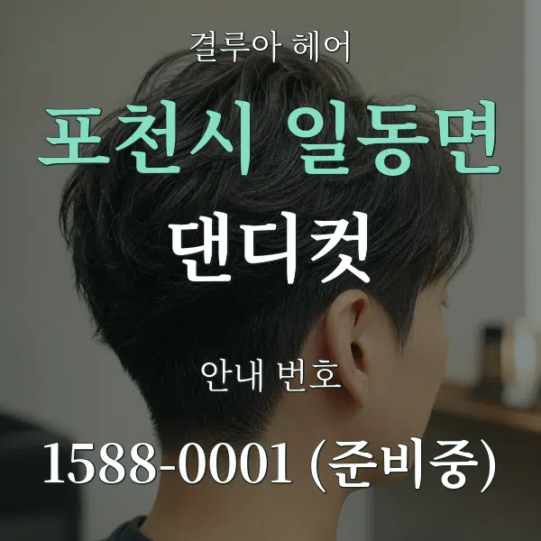 포천시 일동면 댄디컷 대표 안내 그래픽