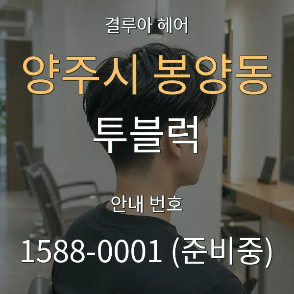 양주시 봉양동 투블럭 대표 안내 그래픽