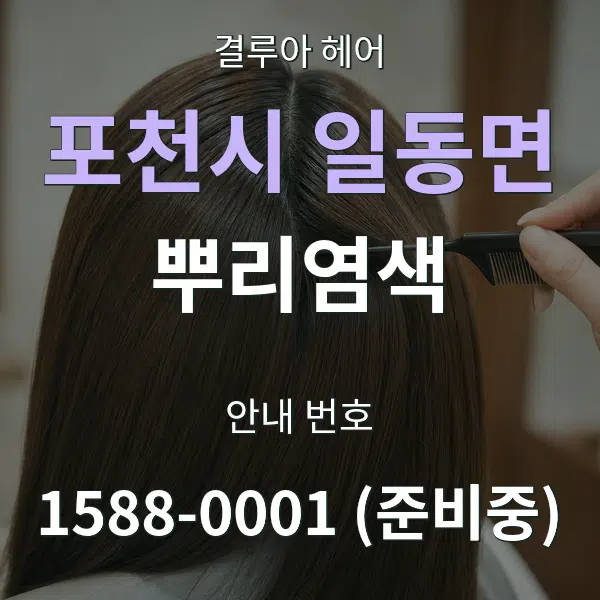 포천시 일동면 뿌리염색 대표 안내 그래픽