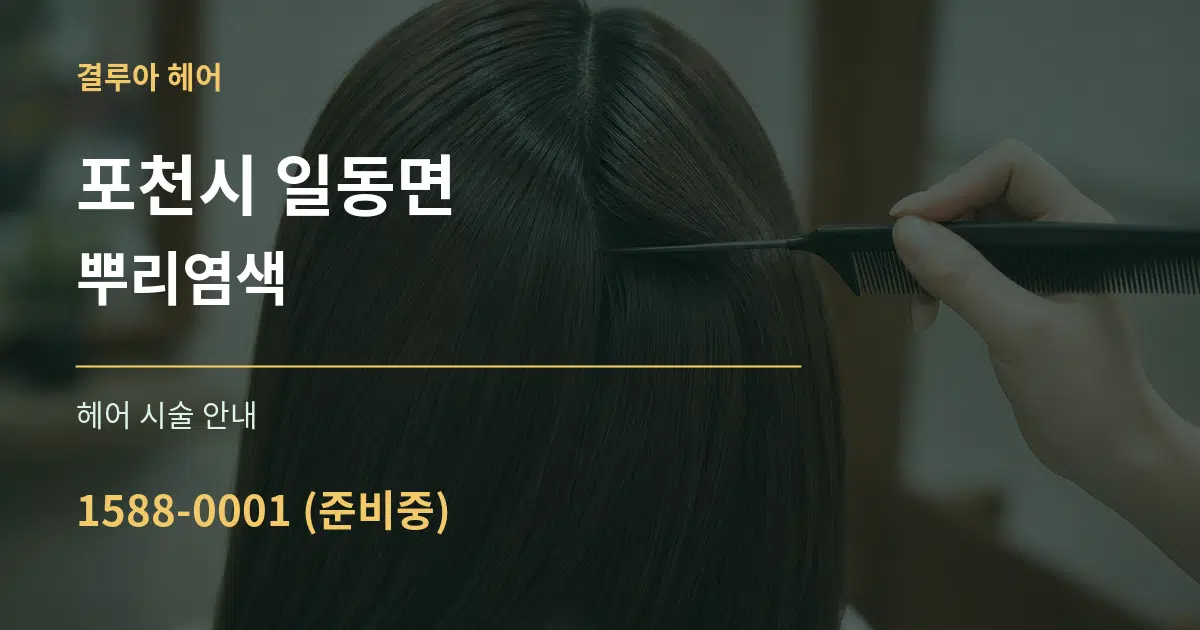 포천시 일동면 뿌리염색 대표 안내 그래픽