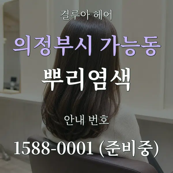 의정부시 가능동 뿌리염색 대표 안내 그래픽