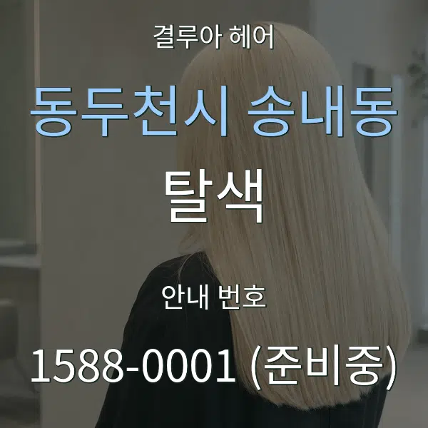 동두천시 송내동 탈색 대표 안내 그래픽