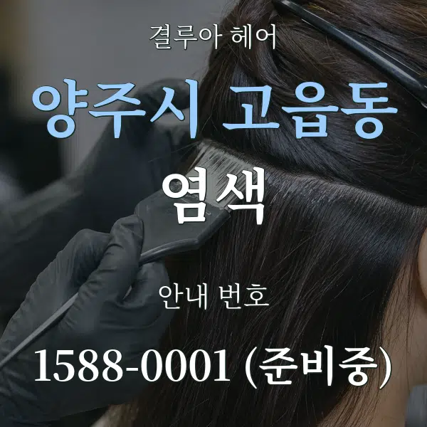 양주시 고읍동 염색 대표 안내 그래픽
