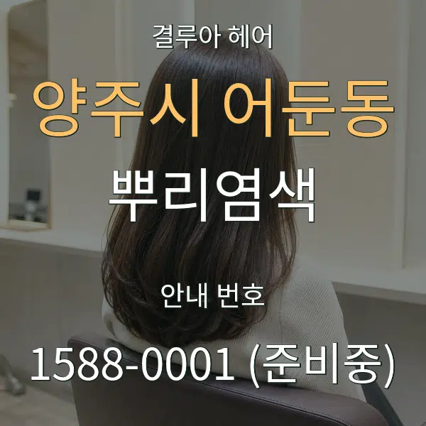 양주시 어둔동 뿌리염색 대표 안내 그래픽