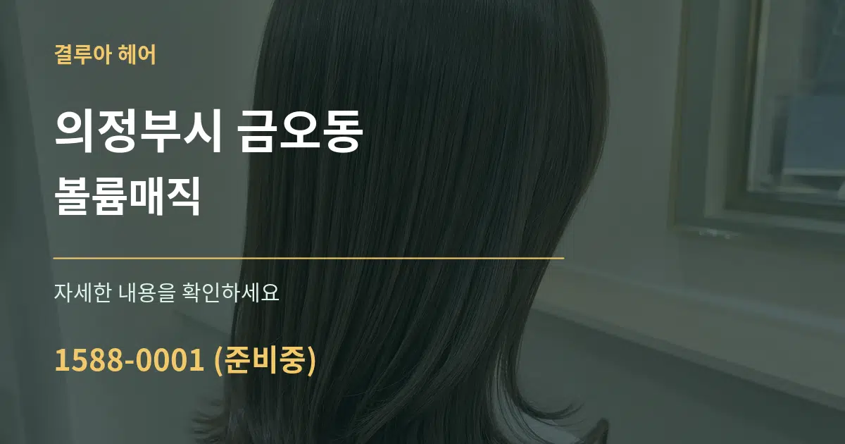 의정부시 금오동 볼륨매직 서비스 이용 안내 그래픽