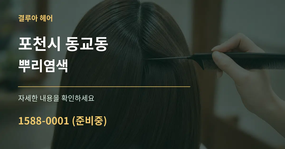 포천시 동교동 뿌리염색 서비스 이용 안내 그래픽