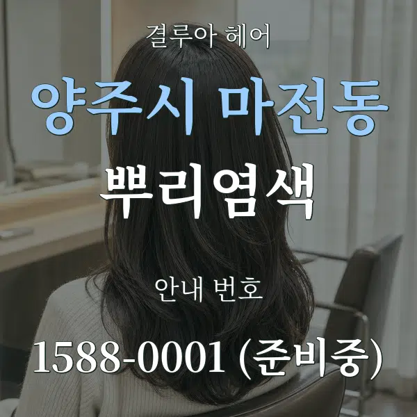 양주시 마전동 뿌리염색 대표 안내 그래픽