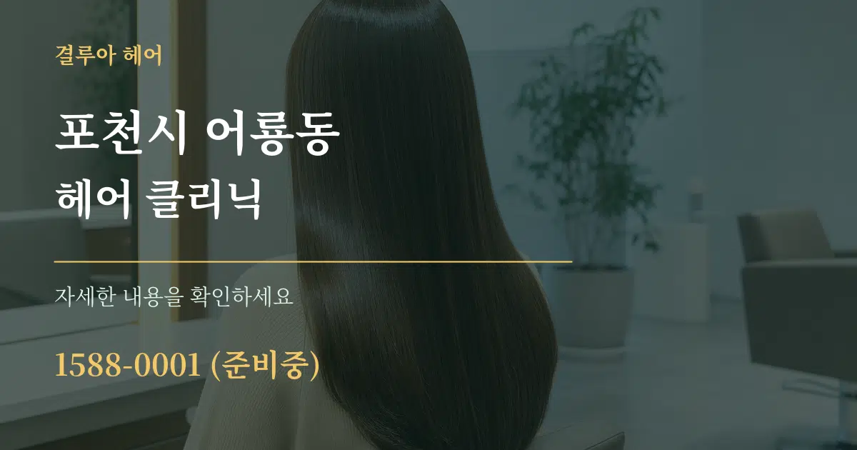 포천시 어룡동 헤어 클리닉 서비스 이용 안내 그래픽