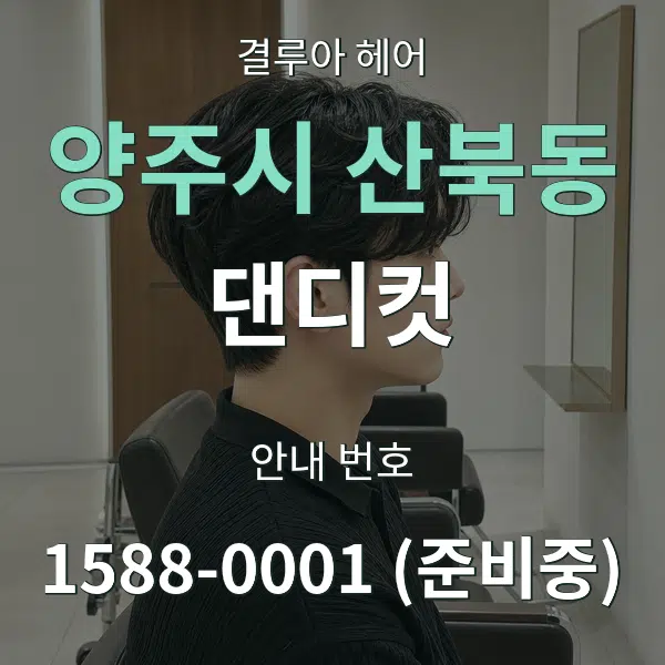 양주시 산북동 댄디컷 대표 안내 그래픽