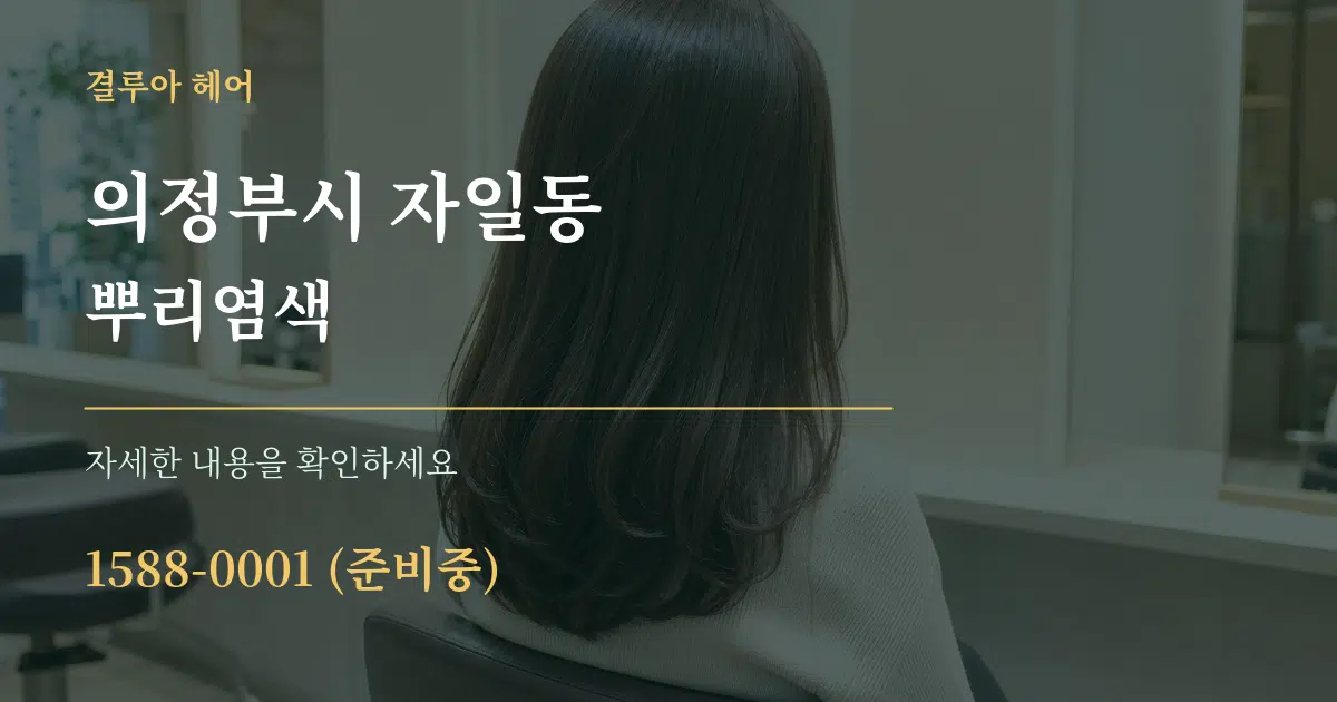 의정부시 자일동 뿌리염색 서비스 이용 안내 그래픽