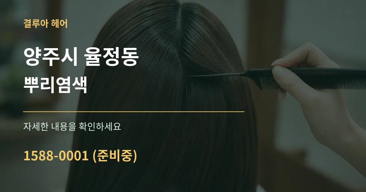 양주시 율정동 뿌리염색 서비스 이용 안내 그래픽