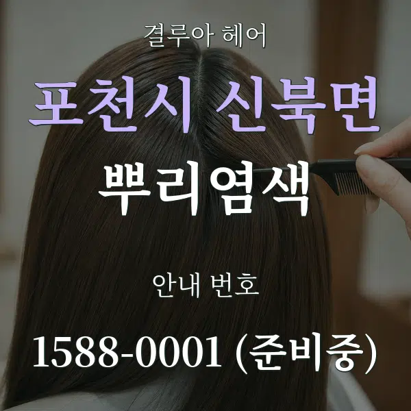 포천시 신북면 뿌리염색 대표 안내 그래픽