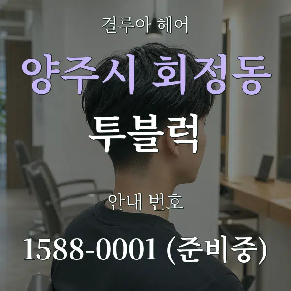 양주시 회정동 투블럭 대표 안내 그래픽