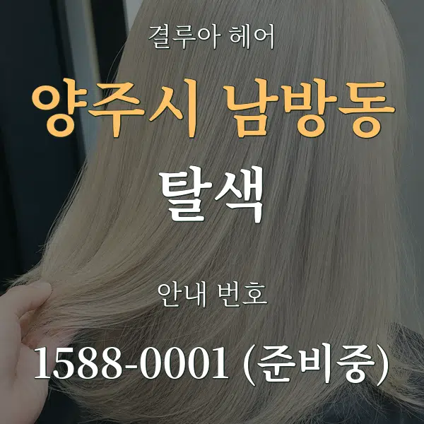 양주시 남방동 탈색 대표 안내 그래픽