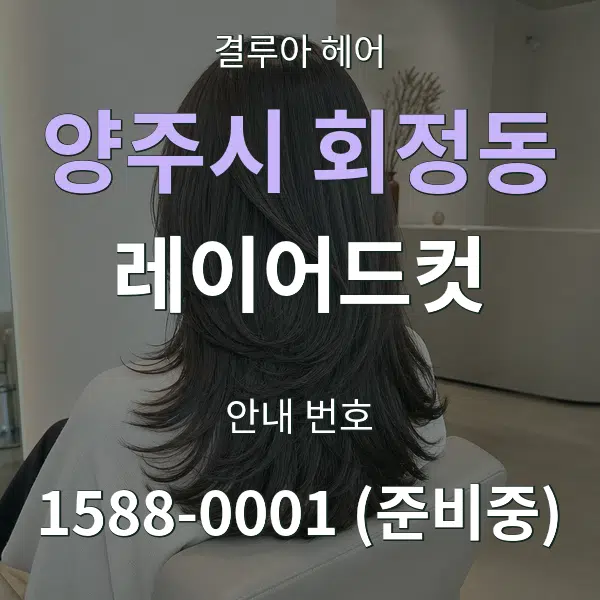 양주시 회정동 레이어드컷 대표 안내 그래픽