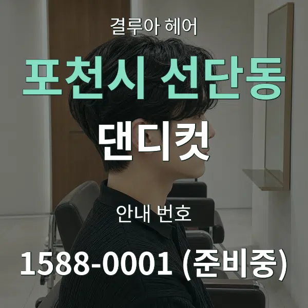 포천시 선단동 댄디컷 대표 안내 그래픽