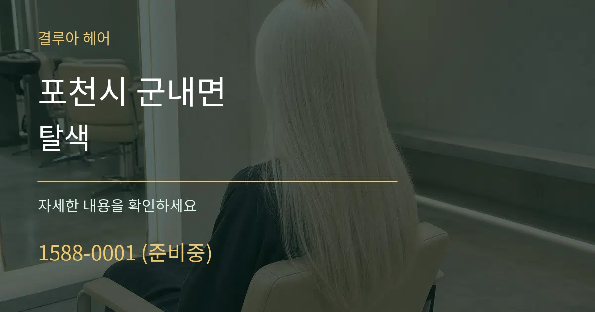 포천시 군내면 탈색 서비스 이용 안내 그래픽