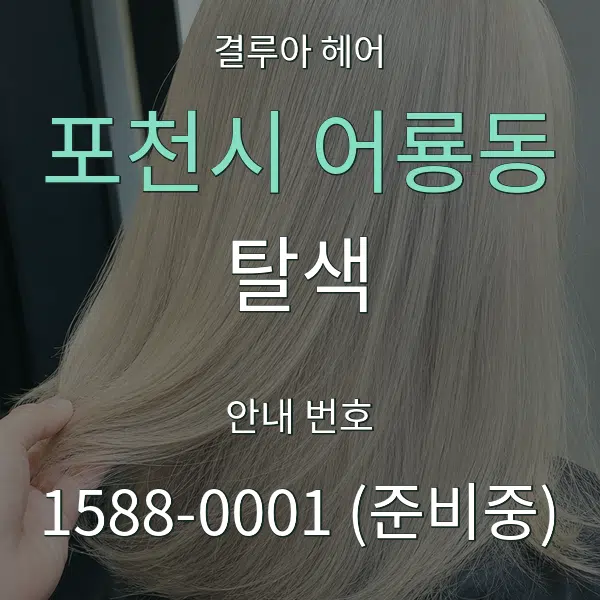 포천시 어룡동 탈색 대표 안내 그래픽
