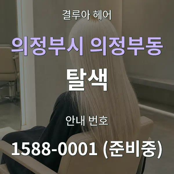 의정부시 의정부동 탈색 대표 안내 그래픽