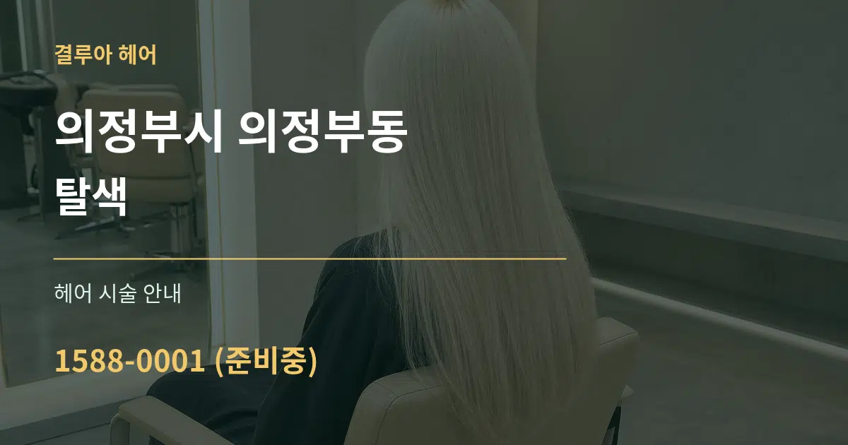 의정부시 의정부동 탈색 대표 안내 그래픽
