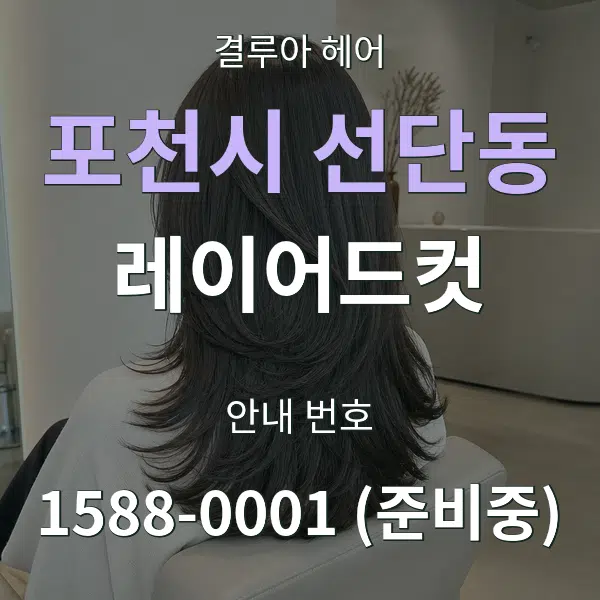 포천시 선단동 레이어드컷 대표 안내 그래픽