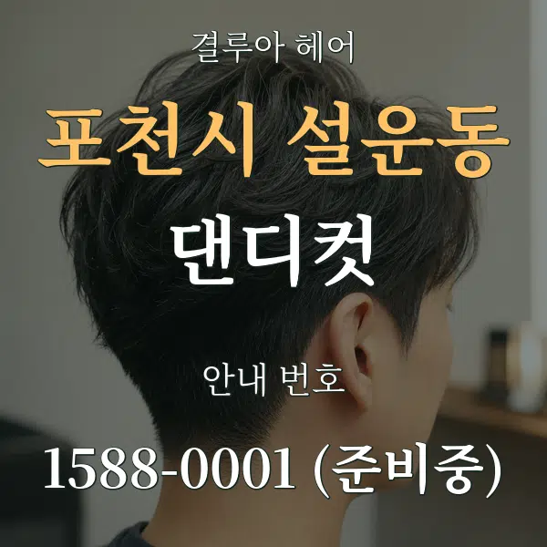 포천시 설운동 댄디컷 대표 안내 그래픽
