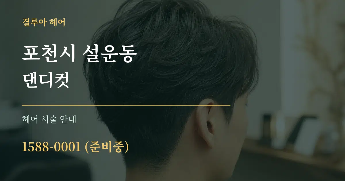 포천시 설운동 댄디컷 대표 안내 그래픽