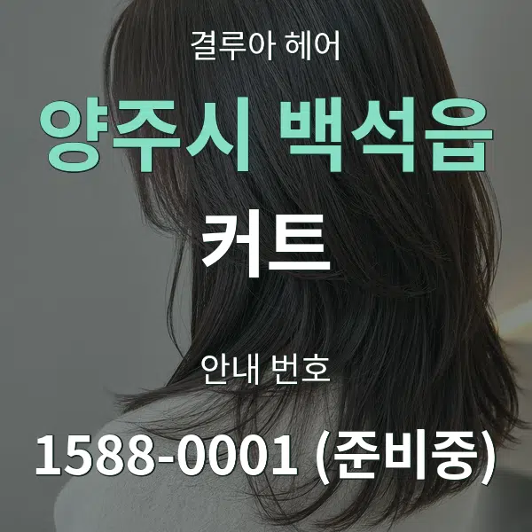 양주시 백석읍 커트 대표 안내 그래픽
