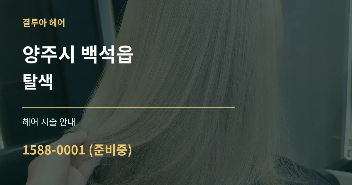양주시 백석읍 탈색 대표 안내 그래픽