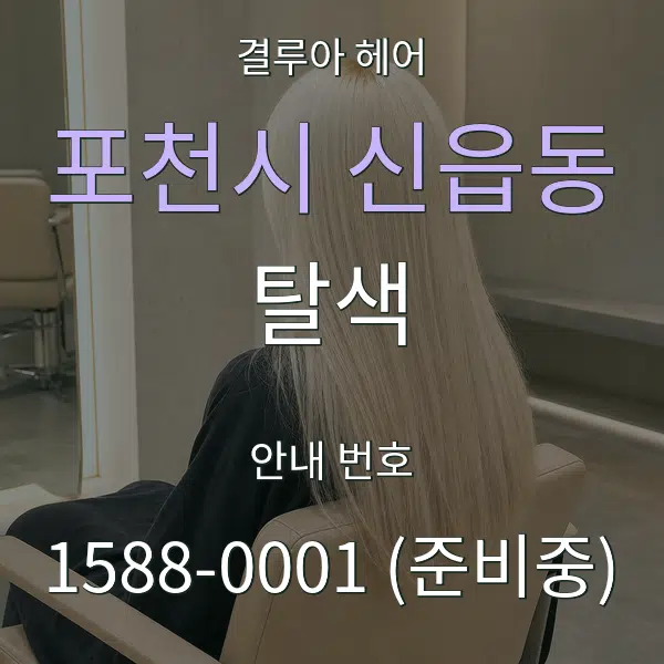포천시 신읍동 탈색 대표 안내 그래픽