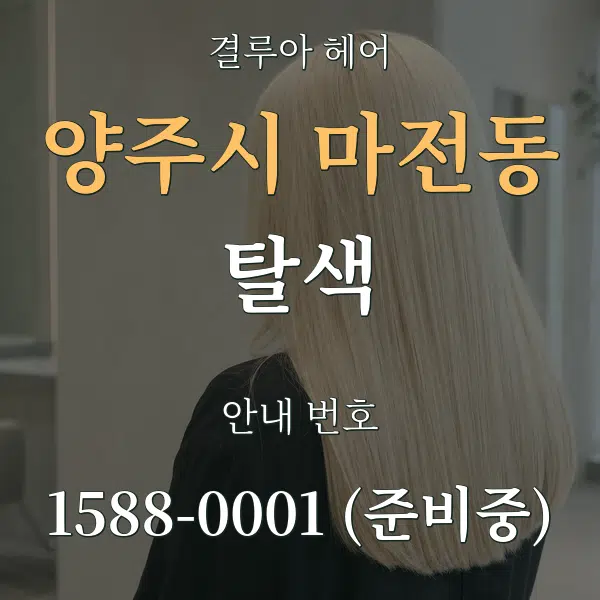 양주시 마전동 탈색 대표 안내 그래픽