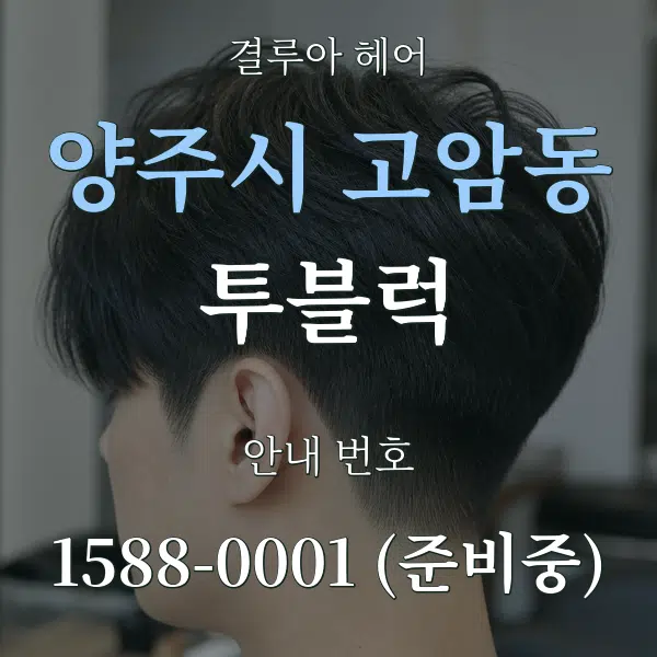 양주시 고암동 투블럭 대표 안내 그래픽