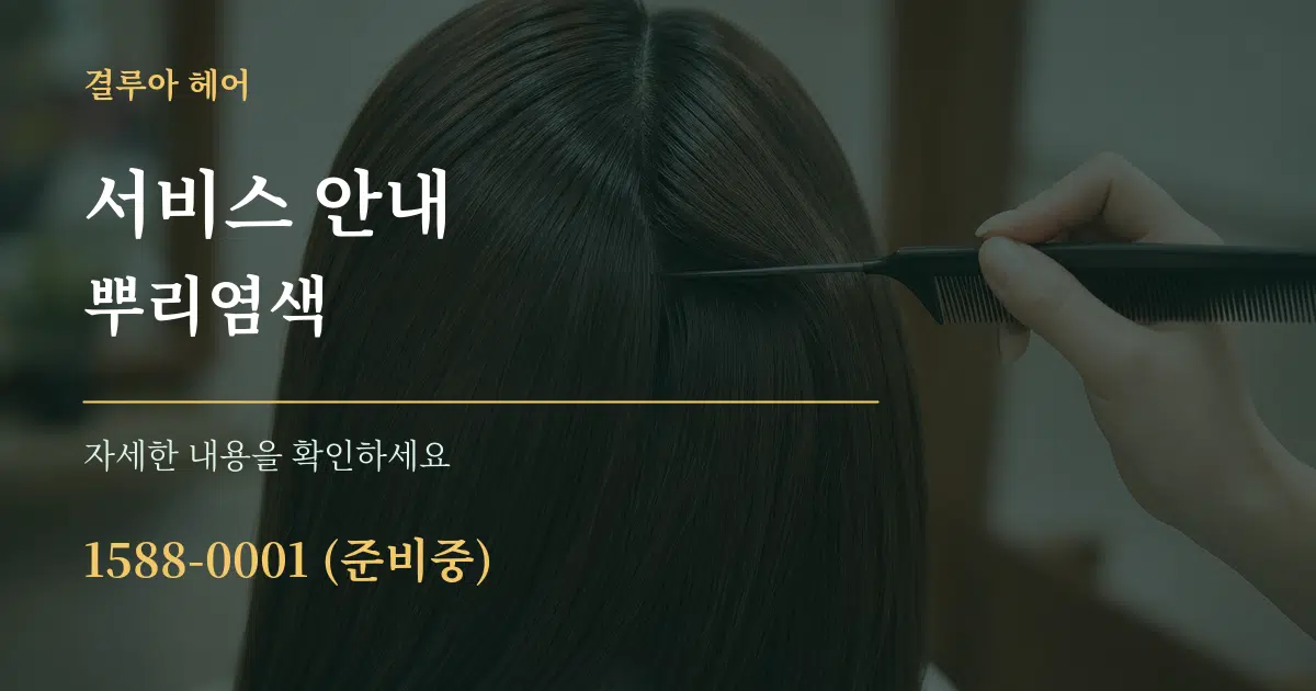 서비스 안내 뿌리염색 작업 조건 안내 그래픽