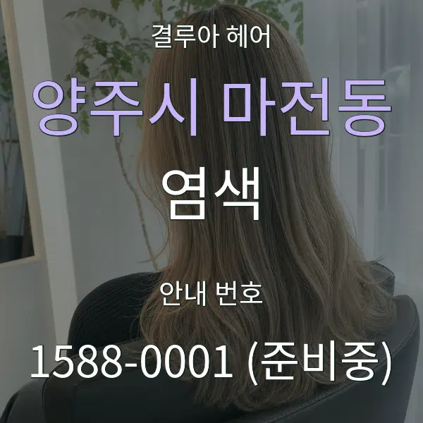 양주시 마전동 염색 대표 안내 그래픽